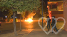 Identificación fotográfica]