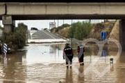 Identificación fotográfica]