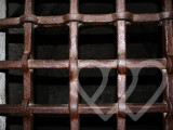 Photo d\'identité]