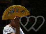 Identificación fotográfica]