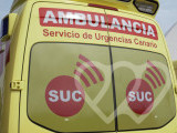 Identificación fotográfica]