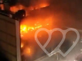 Identificación fotográfica]