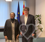 Identificación fotográfica]