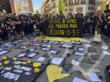 Identificación fotográfica]