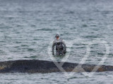 Identificación fotográfica]