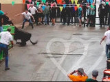 Identificación fotográfica]