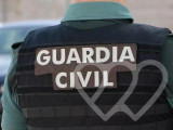Identificación fotográfica]