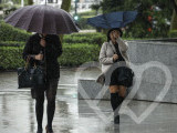 Identificación fotográfica]