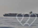 Photo d\'identité]