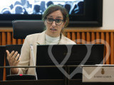 Identificación fotográfica]