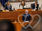 Identificación fotográfica]