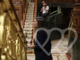 Identificación fotográfica]