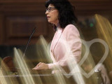 Identificación fotográfica]