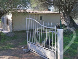 Photo d\'identité]