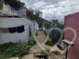 Identificación fotográfica]
