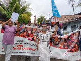 Identificación fotográfica]