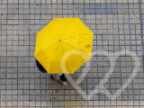 Identificación fotográfica]