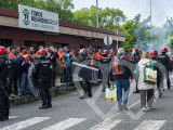 Identificación fotográfica]