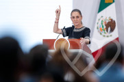 Identificación fotográfica]