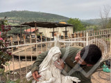 Identificación fotográfica]