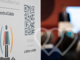 Identificación fotográfica]