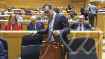Identificación fotográfica]