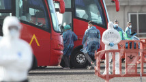 Identificación fotográfica]