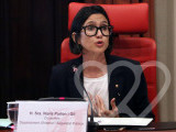 Identificación fotográfica]