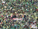 Identificación fotográfica]