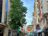 Identificación fotográfica]