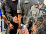 Identificación fotográfica]