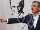 Identificación fotográfica]
