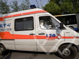 Identificación fotográfica]