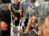 Identificación fotográfica]