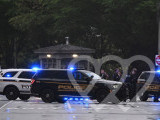Identificación fotográfica]