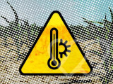 Photo d\'identité]