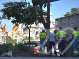 Identificación fotográfica]