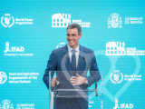 Identificación fotográfica]